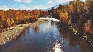 Fall in the Bitterroot Valley